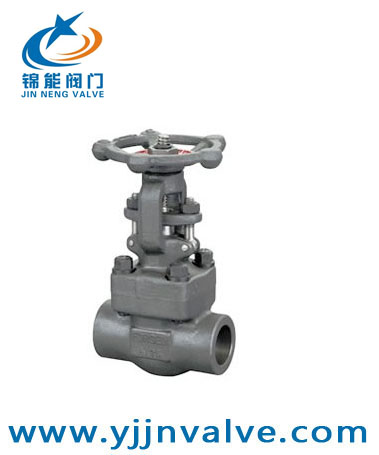 Z61H锻钢承插焊闸阀